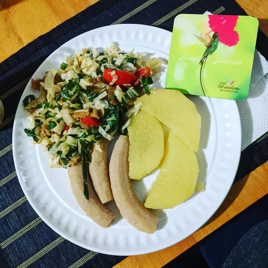 Bed & Breakfast Ultimate Freedom Bed And Breakfast Santa Cruz Jamaica