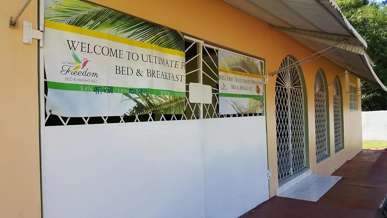 Ultimate Freedom Bed And Breakfast Santa Cruz Jamaica